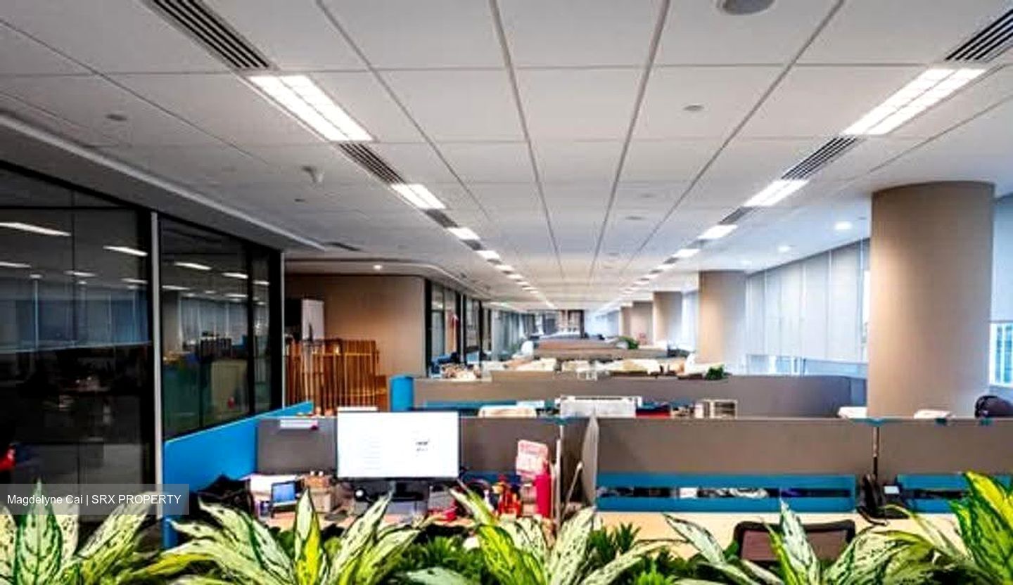 PLQ3 (D15), Office #639836871